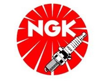Picture of SPARK PLUG SD05F NGK