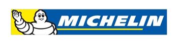 Picture for manufacturer MICHELIN